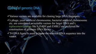 Cloning of genomic DNA
Various vectors are available for cloning large DNA fragments.
λ phage, yeast artificial chromosome, bacterial artificial chromosome
etc. are considered as suitable vectors for larger DNA and λ
replacement vectors like λ DASH and EMBL3 are preferred for
construction of genomic DNA library.
T4 DNA ligase is used to ligate the selected DNA sequence into the
vector.
 