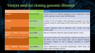 Vectors used for cloning genomic libraries
Vector Insert size Features
λ phages Up to 20-30 kb Genome size-47 kb, efficient packaging system, replacement vectors
usually employed, used to study individual genes.
Cosmids Up to 40 kb Contains cos site of λ phage to allow packaging, propagate in E. coli as
plasmids, useful for sub-cloning of DNA inserts from YAC, BAC, PAC
etc.
Fosmids 35-45 kb Contains F-plasmid origin of replication and λ cossite, low copy
number, stable.
Bacterial artificial chromosomes
(BAC)
Up to 300kb Based on F-plasmid, relatively large and high capacity vectors.
P1 artificial chromosomes(PACs) Up to 300 kb Derived from DNA of P1 bacteriophage, combines the features of P1
and BACs, used to clone larger genes and in physical mapping,
chromosome walking as well as shotgun sequencing of complex
genomes.
Yeast artificial chromosomes
(YAC)
Up to 2000kb Allow identification of successful transformants. (BAC clones are
highly stable and highly efficient)
 