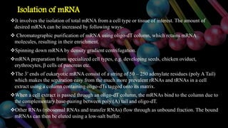 Isolation of mRNA
It involves the isolation of total mRNA from a cell type or tissue of interest. The amount of
desired mRNA can be increased by following ways-
 Chromatographic purification of mRNA using oligo-dT column, which retains mRNA
molecules, resulting in their enrichment.
Spinning down mRNA by density gradient centrifugation.
mRNA preparation from specialized cell types, e.g. developing seeds, chicken oviduct,
erythrocytes, β cells of pancreas etc.
The 3′ ends of eukaryotic mRNA consist of a string of 50 – 250 adenylate residues (poly A Tail)
which makes the separation easy from the much more prevalent rRNAs and tRNAs in a cell
extract using a column containing oligo-dTs tagged onto its matrix.
When a cell extract is passed through an oligo-dT column, the mRNAs bind to the column due to
the complementary base-pairing between poly (A) tail and oligo-dT.
Other RNAs (ribosomal RNAs and transfer RNAs) flow through as unbound fraction. The bound
mRNAs can then be eluted using a low-salt buffer.
 