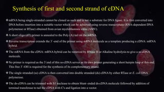 Synthesis of first and second strand of cDNA
mRNA being single-stranded cannot be cloned as such and is not a substrate for DNA ligase. It is first converted into
DNA before insertion into a suitable vector which can be achieved using reverse transcriptase (RNA-dependent DNA
polymerase or RTase) obtained from avian myeloblastosis virus (AMV).
A short oligo (dT) primer is annealed to the Poly (A) tail on the mRNA.
Reverse transcriptase extends the 3´-end of the primer using mRNA molecule as a template producing a cDNA: mRNA
hybrid.
The mRNA from the cDNA: mRNA hybrid can be removed by RNase H or Alkaline hydrolysis to give a ss-cDNA
molecule.
No primer is required as the 3´end of this ss-cDNA serves as its own primer generating a short hairpin loop at this end.
This free 3´-OH is required for the synthesis of its complementary strand.
The single stranded (ss) cDNA is then converted into double stranded (ds) cDNA by either RTase or E. coli DNA
polymerase.
The ds-cDNA can be trimmed with S1 nuclease to obtain blunt–ended ds-cDNA molecule followed by addition of
terminal transferase to tail the cDNA with C's and ligation into a vector.
 