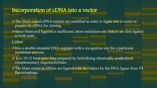 Incorporation of cDNA into a vector
The blunt-ended cDNA termini are modified in order to ligate into a vector to
prepare ds-cDNA for cloning.
Since blunt-end ligation is inefficient, short restriction-site linkers are first ligated
to both ends.
Linker
It is a double-stranded DNA segment with a recognition site for a particular
restriction enzyme.
 It is 10-12 base pairs long prepared by hybridizing chemically synthesized
complementary oligonucleotides.
The blunt ended ds-DNAs are ligated with the linkers by the DNA ligase from T4
Bacteriophage.
 