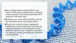 The resulting double-stranded cDNAs with
linkers at both ends are treated with a restriction
enzyme specific for the linker generating cDNA
molecules with sticky ends.
Problems arise, when cDNA itself has a site for
the restriction enzyme cleaving the linkers.
This can be overcome using an appropriate
modification enzyme (methylase) to protect any
internal recognition site from digestion which
methylates specific bases within the restriction-
site sequence, thereby, preventing the restriction
enzyme binding
 