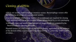 Cloning of cDNAs
cDNAs are usually cloned in phage insertion vectors. Bacteriophage vectors offer
the following advantageous over plasmid vectors,
are more suitable when a large number of recombinants are required for cloning
low-abundant mRNAs as recombinant phages are produced by in vitro packaging.
can easily store and handle large numbers of phage clones, as compared to the
bacterial colonies carrying plasmids.
Plasmid vectors are used extensively for cDNA cloning, particularly in the isolation
of the desired cDNA sequence involving the screening of a relatively small number
of clones.
 