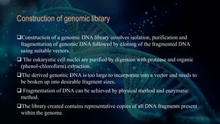Construction of genomic library
Construction of a genomic DNA library involves isolation, purification and
fragmentation of genomic DNA followed by cloning of the fragmented DNA
using suitable vectors.
 The eukaryotic cell nuclei are purified by digestion with protease and organic
(phenol-chloroform) extraction.
The derived genomic DNA is too large to incorporate into a vector and needs to
be broken up into desirable fragment sizes.
 Fragmentation of DNA can be achieved by physical method and enzymatic
method.
The library created contains representative copies of all DNA fragments present
within the genome.
 