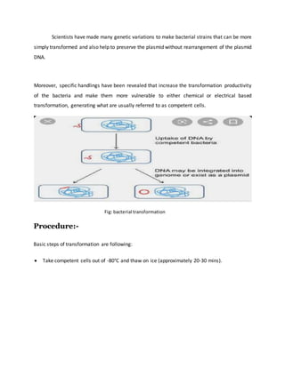 Scientists have made many genetic variations to make bacterial strains that can be more
simply transformed and also help to preserve the plasmid without rearrangement of the plasmid
DNA.
Moreover, specific handlings have been revealed that increase the transformation productivity
of the bacteria and make them more vulnerable to either chemical or electrical based
transformation, generating what are usually referred to as competent cells.
Fig: bacterial transformation
Procedure:-
Basic steps of transformation are following:
 Take competent cells out of -80°C and thaw on ice (approximately 20-30 mins).
 