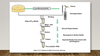 https://nptel.ac.in › mod3PDFLecture 10: DNA Libraries (PART
-I) - NPTEL
 