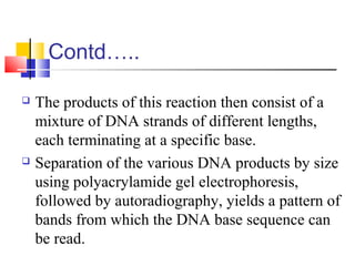Contd…..
 The products of this reaction then consist of a
mixture of DNA strands of different lengths,
each terminating at a specific base.
 Separation of the various DNA products by size
using polyacrylamide gel electrophoresis,
followed by autoradiography, yields a pattern of
bands from which the DNA base sequence can
be read.
 