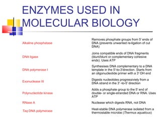 Alkaline phosphatase
Removes phosphate groups from 5' ends of
DNA (prevents unwanted re-ligation of cut
DNA)
DNA ligase
Joins compatible ends of DNA fragments
(blunt/blunt or complementary cohesive
ends). Uses ATP
DNA polymerase I
Synthesises DNA complementary to a DNA
template in the 5'-to-3'direction. Starts from
an oligonucleotide primer with a 3' OH end
Exonuclease III
Digests nucleotides progressiviely from a
DNA strand in the 3' -to-5' direction
Polynucleotide kinase
Adds a phosphate group to the 5' end of
double- or single-stranded DNA or RNA. Uses
ATP
RNase A Nuclease which digests RNA, not DNA
Taq DNA polymerase
Heat-stable DNA polymerase isolated from a
thermostable microbe (Thermus aquaticus)
ENZYMES USED IN
MOLECULAR BIOLOGY
 