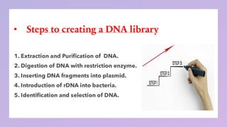 • Steps to creating a DNA library
 
