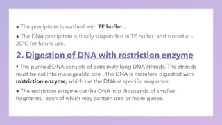 DNA library . ppt construction and application