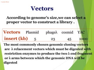 Dna library CONSTRUCTION | PPT