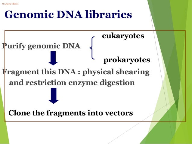 dnalibrary