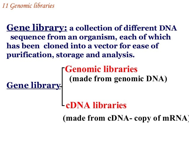 dna library lecture gene libraries and screening dna library