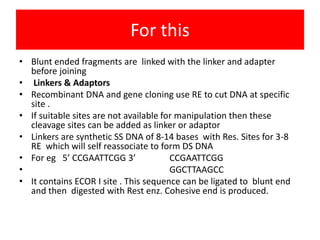 For this
• Blunt ended fragments are linked with the linker and adapter
before joining
• Linkers & Adaptors
• Recombinant DNA and gene cloning use RE to cut DNA at specific
site .
• If suitable sites are not available for manipulation then these
cleavage sites can be added as linker or adaptor
• Linkers are synthetic SS DNA of 8-14 bases with Res. Sites for 3-8
RE which will self reassociate to form DS DNA
• For eg 5’ CCGAATTCGG 3’ CCGAATTCGG
• GGCTTAAGCC
• It contains ECOR I site . This sequence can be ligated to blunt end
and then digested with Rest enz. Cohesive end is produced.
 