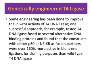 Genetically engineered T4 Ligase
• Some engineering has been done to improve
the in vitro activity of T4 DNA ligase; one
successful approach, for example, tested T4
DNA ligase fused to several alternative DNA
binding proteins and found that the constructs
with either p50 or NF-KB as fusion partners
were over 160% more active in blunt-end
ligations for cloning purposes than wild type
T4 DNA ligase
 