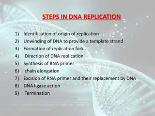 INITIATION
• DNA replication initiate from specific sequences of Origin
of replication (ORI) called Replisomes.
• The orig...