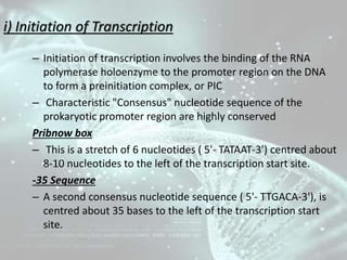 Termination of transcription
– Termination of the synthesis of the RNA molecule in
bacteria is of two types
a) Rho (ρ) dep...