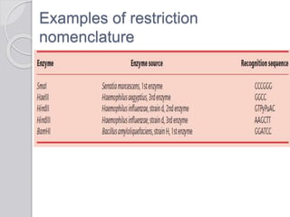 Dna manipulation enzymes | PPTX