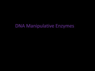 DNA Manipulative Enzymes
 