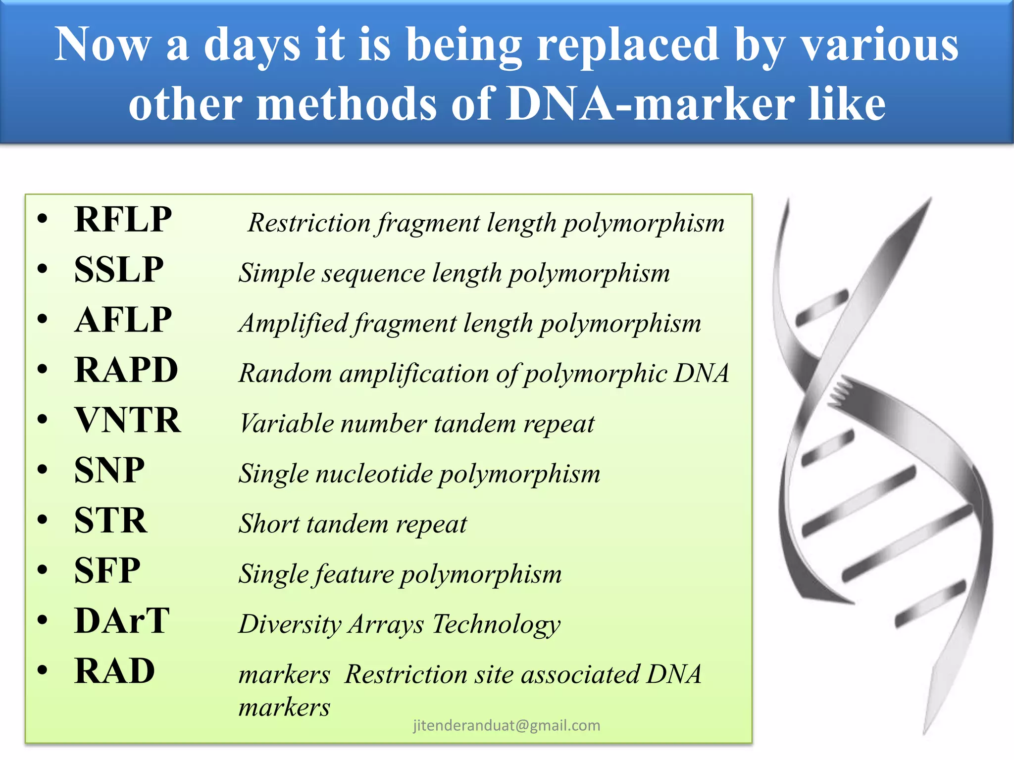 DNA Marker: | PPT