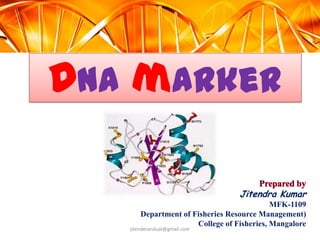 DNA marker
Jitendra Kumar
MFK-1109
Department of Fisheries Resource Management)
College of Fisheries, Mangalore

jitenderanduat@gmail.com

 