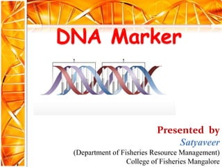 DNA Marker
Presented by
Satyaveer
(Department of Fisheries Resource Management)
College of Fisheries Mangalore
 