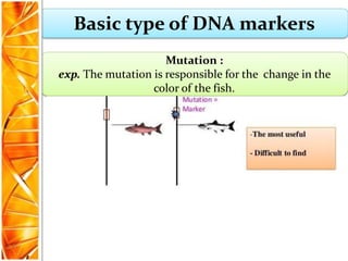 DNA Marker