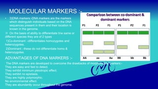 DNA markers (2).pptx