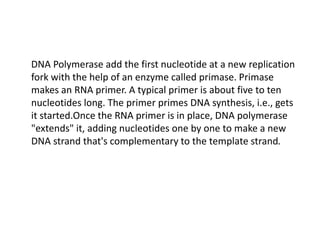Molecular mechanism of DNA,damage n repair.pptx