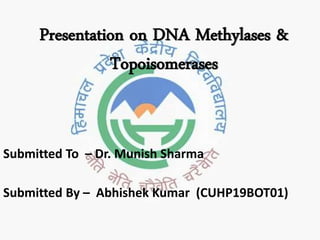 Presentation on DNA Methylases &
Topoisomerases
Submitted To – Dr. Munish Sharma
Submitted By – Abhishek Kumar (CUHP19BOT01)
 