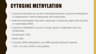 CYTOSINE METHYLATION
• Cytosine and adenine can be methylated however cytosine methylation
is widespread in both prokaryotes and eukaryotes.
• Adenine methylation has been observed in bacterial, plant and recently
in mammalian DNA.
• Cytosine methylation occurs in fungi, plants, vertebrates and non-
vertebrates.
Vertebrates 3-6%
Plants 30%
• Cytosine DNA methylation can differ greatly between species
2.3% in E coli, 0.03% in drosophila
 