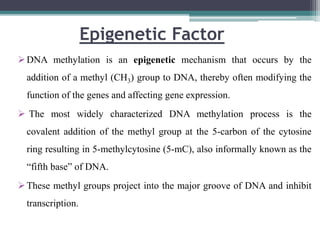 Epigenetic Factor
DNA methylation is an epigenetic mechanism that occurs by the
addition of a methyl (CH3) group to DNA, thereby often modifying the
function of the genes and affecting gene expression.
 The most widely characterized DNA methylation process is the
covalent addition of the methyl group at the 5-carbon of the cytosine
ring resulting in 5-methylcytosine (5-mC), also informally known as the
“fifth base” of DNA.
These methyl groups project into the major groove of DNA and inhibit
transcription.
 