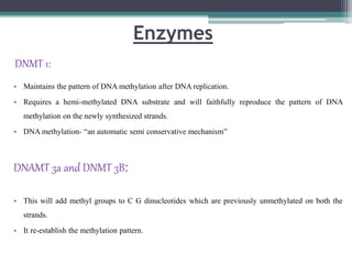 Enzymes
DNMT 1:
• Maintains the pattern of DNA methylation after DNA replication.
• Requires a hemi-methylated DNA substrate and will faithfully reproduce the pattern of DNA
methylation on the newly synthesized strands.
• DNA methylation- “an automatic semi conservative mechanism”
DNAMT 3a and DNMT 3B:
• This will add methyl groups to C G dinucleotides which are previously unmethylated on both the
strands.
• It re-establish the methylation pattern.
 