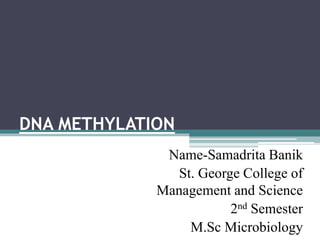 DNA METHYLATION
Name-Samadrita Banik
St. George College of
Management and Science
2nd Semester
M.Sc Microbiology
 