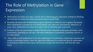 The Role of Methylation in Gene
Expression
 Methylation was believed to play a crucial role in repressing gene expression, perhaps by blocking
the promoters at which activating transcription factors should bind.
 Presently, the exact role of methylation in gene expression is unknown, but it appears that proper
DNA methylation is essential for cell differentiation and embryonic development. Moreover, in
some cases, methylation has observed to play a role in mediating gene expression.
 Evidence of this has been found in studies that show that methylation near gene promoters varies
considerably depending on cell type, with more methylation of promoters correlating with low or
no transcription.
 Also, while overall methylation levels and completeness of methylation of particular promoters are
similar in individual humans, there are significant differences in overall and specific methylation
levels between different tissue types and between normal cells and cancer cells from the same
tissue.
 