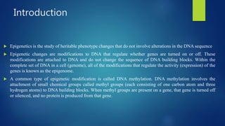 Introduction
 Epigenetics is the study of heritable phenotype changes that do not involve alterations in the DNA sequence
 Epigenetic changes are modifications to DNA that regulate whether genes are turned on or off. These
modifications are attached to DNA and do not change the sequence of DNA building blocks. Within the
complete set of DNA in a cell (genome), all of the modifications that regulate the activity (expression) of the
genes is known as the epigenome.
 A common type of epigenetic modification is called DNA methylation. DNA methylation involves the
attachment of small chemical groups called methyl groups (each consisting of one carbon atom and three
hydrogen atoms) to DNA building blocks. When methyl groups are present on a gene, that gene is turned off
or silenced, and no protein is produced from that gene.
 