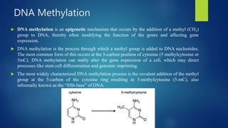 DNA Methylation
 DNA methylation is an epigenetic mechanism that occurs by the addition of a methyl (CH3)
group to DNA, thereby often modifying the function of the genes and affecting gene
expression.
 DNA methylation is the process through which a methyl group is added to DNA nucleotides.
The most common form of this occurs at the 5-carbon position of cytosine (5 methylcytosine or
5mC). DNA methylation can stably alter the gene expression of a cell, which may direct
processes like stem cell differentiation and genomic imprinting.
 The most widely characterized DNA methylation process is the covalent addition of the methyl
group at the 5-carbon of the cytosine ring resulting in 5-methylcytosine (5-mC), also
informally known as the “fifth base” of DNA.
 