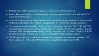  Demethylation of DNA can either be passive or active, or a combination of both.
 Passive DNA demethylation usually takes place on newly synthesized DNA strands via DNMT1
during replication rounds.
 Active DNA demethylation mainly occurs by the removal of 5-methylcytosine via the sequential
modification of cytosine bases that have been converted by TET enzyme-mediated oxidation.
 The ten-eleven translocation (TET) family of 5-mC hydroxylases includes TET1, TET2 and TET3.
These proteins may promote DNA demethylation by binding to CpG rich regions to prevent
unwanted DNA methyltransferase activity, and by converting 5-mC to 5-hmC, 5-hmC to 5-fC (5-
formylcytosine), and 5-fC to 5-caC (5-carboxylcytosine) through hydroxylase activity.
 The TET proteins have been shown to function in transcriptional activation and repression (TET1),
tumor suppression (TET2), and DNA methylation reprogramming processes (TET3).
 