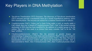 Key Players in DNA Methylation
 Ten-eleven Translocation (TET) Enzymes: The discovery of Ten-eleven translocation
(TET) enzymes provide a mechanistic basis for a mostly hypothetical pathway, active
DNA demethylation. The enzymes are named for a common translocation in cancers.
 5-methylcytosine (5mC): Unless you’ve been living under a rock, or maybe under a
CpG island, then you’ve heard of 5-methylcytosine (5mC). 5mC is the normal cytosine
nucleotide in DNA that has been modified by the addition of a methyl group to its 5th
carbon. The role of this mark is so distinct that many consider 5mC to be the “5th
base” of DNA.
 5-hydroxymethylcytosine (5hmC): Has the potential to greatly deepen our
understanding of epigenetics of the brain and development. 5hmC is the first oxidative
product in the active demethylation of 5-methylcytosine (5mC). The three Ten-eleven
translocation (TET) enzymes oxidize each step in the demethylation of 5mC. 5mC is
first converted to 5hmC, then 5-formylcytosine (5fC), then 5-carboxylcytosine (5caC)
 