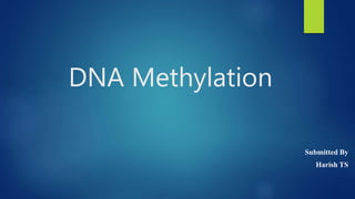DNA Methylation
Submitted By
Harish TS
 