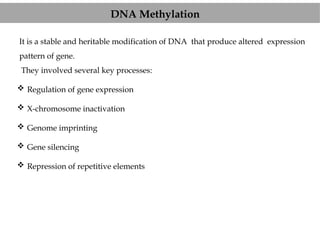 Basic feature of DNA methylation analysis pipeline | PPTX