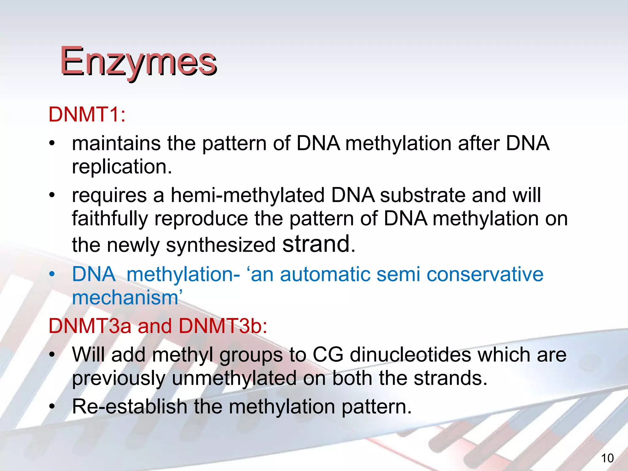 Enzymes DNMT1:  maintains the pattern of DNA methylation after DNA replication. requires a hemi-methylated DNA substrate and will faithfully reproduce the pattern of DNA methylation on the newly synthesized  strand . DNA  methylation- ‘an automatic semi conservative mechanism’ DNMT3a and DNMT3b: Will add methyl groups to CG dinucleotides which are previously unmethylated on both the strands. Re-establish the methylation pattern. 