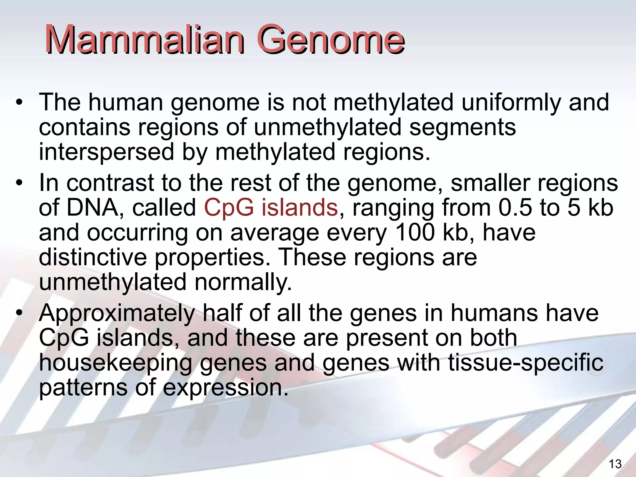 Mammalian Genome The human genome is not methylated uniformly and contains regions of unmethylated segments interspersed by methylated regions. In contrast to the rest of the genome, smaller regions of DNA, called  CpG islands , ranging from 0.5 to 5 kb and occurring on average every 100 kb, have distinctive properties. These regions are unmethylated normally. Approximately half of all the genes in humans have CpG islands, and these are present on both housekeeping genes and genes with tissue-specific patterns of expression. 