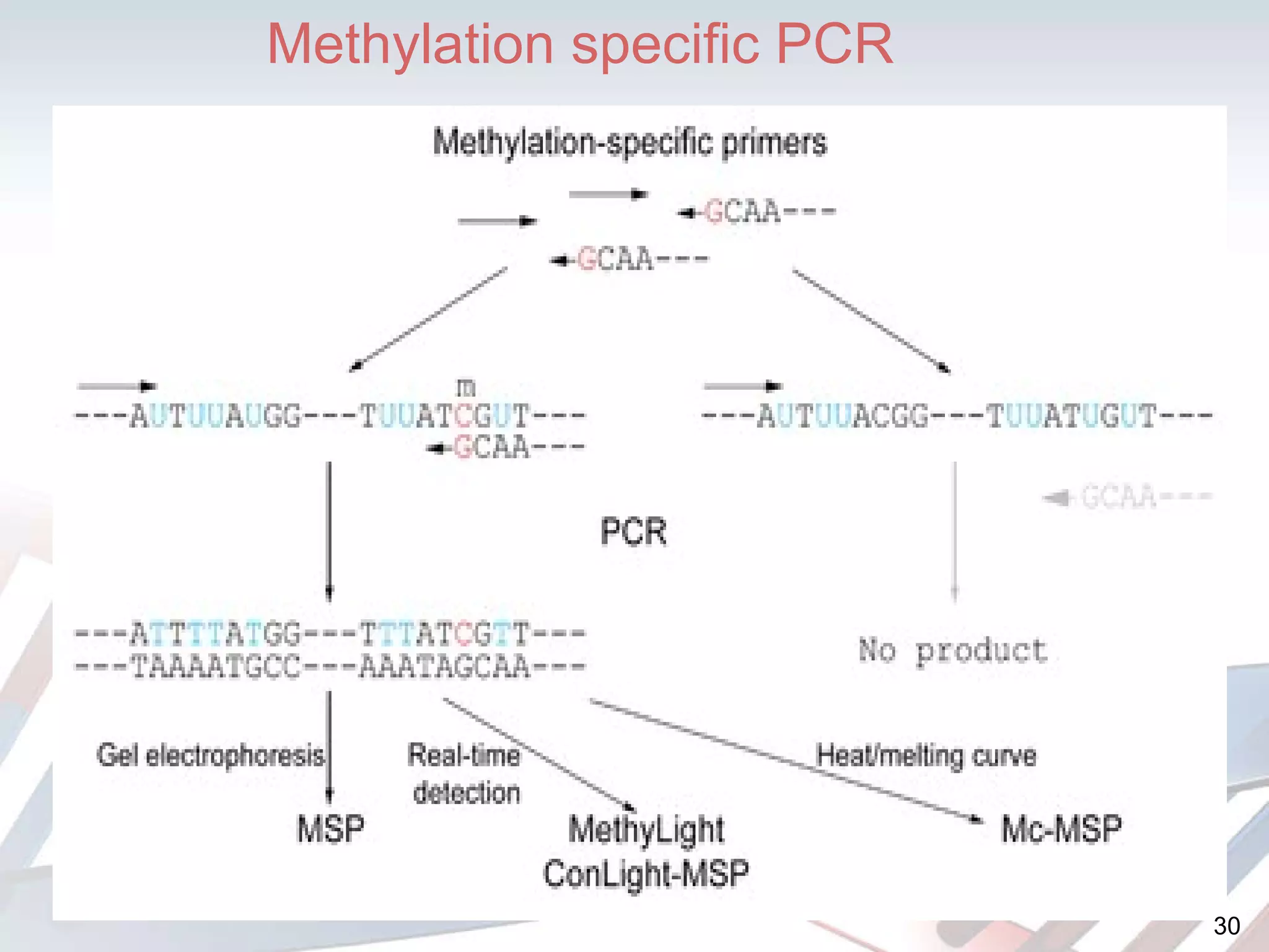 Methylation specific PCR 