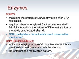 Enzymes DNMT1:  maintains the pattern of DNA methylation after DNA replication. requires a hemi-methylated DNA substrate and will faithfully reproduce the pattern of DNA methylation on the newly synthesized  strand . DNA  methylation- ‘an automatic semi conservative mechanism’ DNMT3a and DNMT3b: Will add methyl groups to CG dinucleotides which are previously unmethylated on both the strands. Re-establish the methylation pattern. 