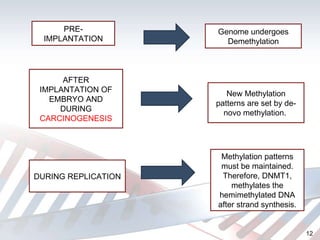 PRE-IMPLANTATION Genome undergoes Demethylation AFTER IMPLANTATION OF EMBRYO AND DURING  CARCINOGENESIS New Methylation patterns are set by de-novo methylation.  DURING REPLICATION Methylation patterns must be maintained. Therefore, DNMT1, methylates the hemimethylated DNA after strand synthesis. 