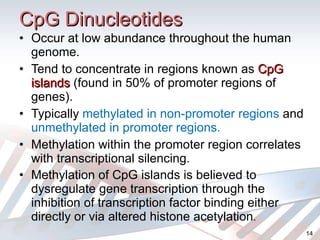 CpG Dinucleotides Occur at low abundance throughout the human genome. Tend to concentrate in regions known as  CpG islands  (found in 50% of promoter regions of genes). Typically  methylated in non-promoter regions  and  unmethylated in promoter regions. Methylation within the promoter region correlates with transcriptional silencing. Methylation of CpG islands is believed to dysregulate gene transcription through the inhibition of transcription factor binding either directly or via altered histone acetylation . 