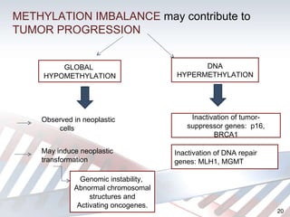 METHYLATION IMBALANCE  may contribute  to  TUMOR PROGRESSION GLOBAL  HYPOMETHYLATION DNA HYPERMETHYLATION Observed in neoplastic  cells May induce neoplastic transformation Genomic instability,  Abnormal chromosomal structures and Activating oncogenes. Inactivation of tumor-suppressor genes:  p16, BRCA1 Inactivation of DNA repair genes: MLH1, MGMT  