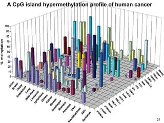 A CpG island hypermethylation profile of human cancer 