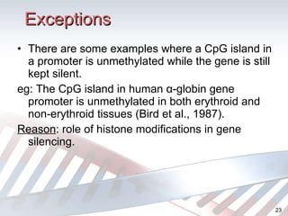 Exceptions There are some examples where  a CpG island in a promoter is unmethylated while the gene is still kept silent. eg:  The CpG island in human α-globin gene promoter is unmethylated in both erythroid and non-erythroid tissues (Bird et al., 1987).  Reason : role of histone modifications in gene silencing. 
